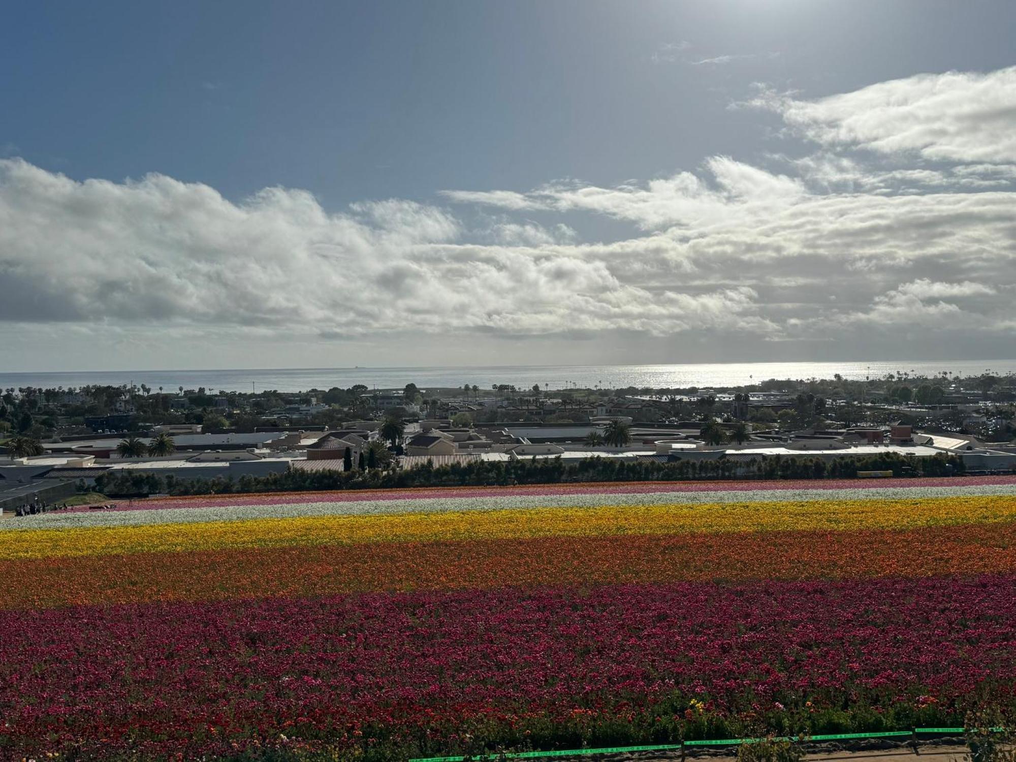 Holiday Inn Express Hotel & Suites Carlsbad Beach By Ihg Экстерьер фото